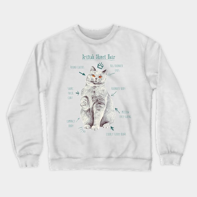 British Short Hair Kitty Illustration Crewneck Sweatshirt by ancapora